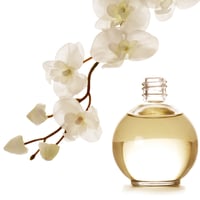 Amber White (15ML)