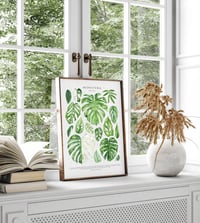 Image 6 of Monstera Species Poster