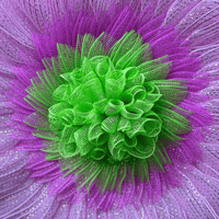 Image 4 of Pink & Lime Green Sunflower Wreath