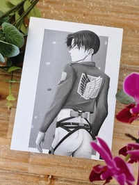 Image 2 of - Levi Ackerman B&W -