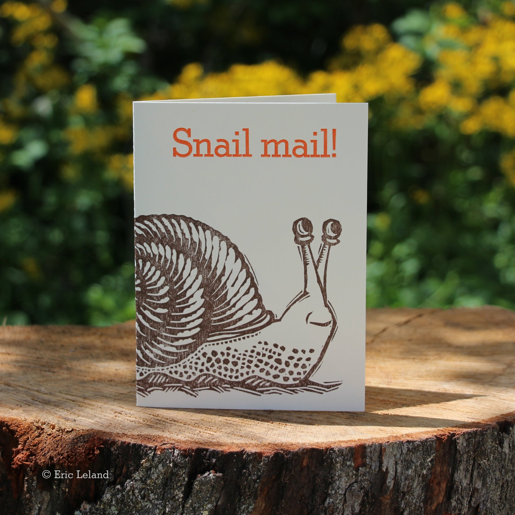 Snail Mail | Greeting Card Snail Mail | Greeting Card