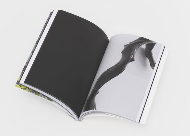 Ellis & Parker von Sternberg – 'New Works'