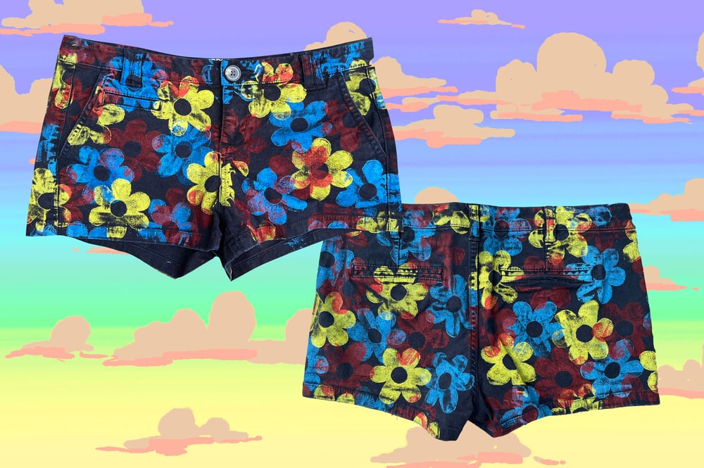 Image of Multi-Color Daisy Shorts in Size Small and Medium