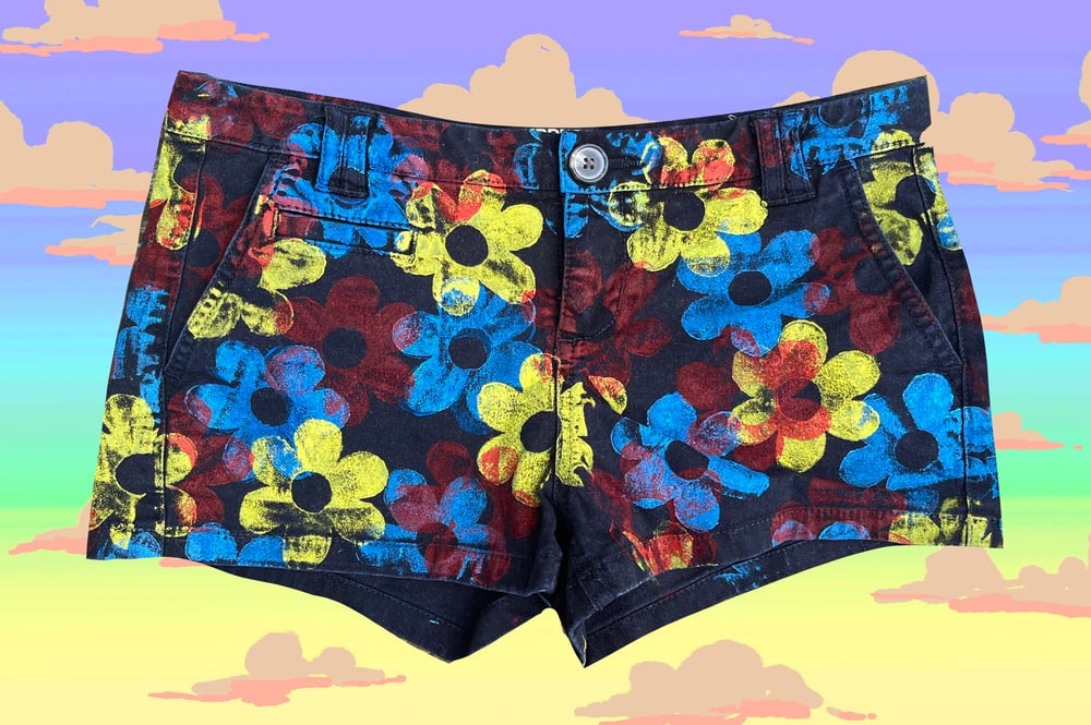 Image of Multi-Color Daisy Shorts in Size Small and Medium