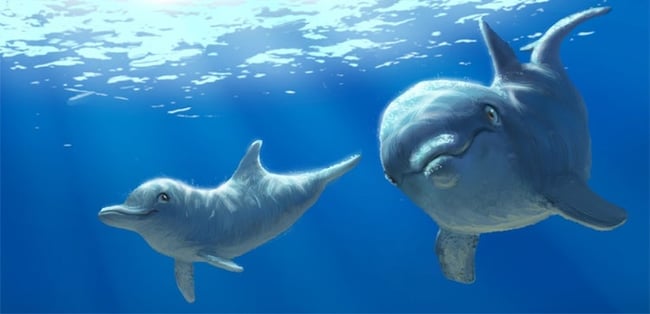 TY CARTER ART: MUSINGS AND WANDERINGS