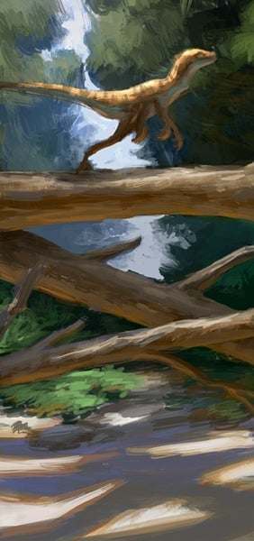 TY CARTER ART: MUSINGS AND WANDERINGS