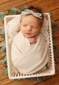 Image 1 of Newborn MINI SESSION (baby ONLY - or family ONLY ) 350$