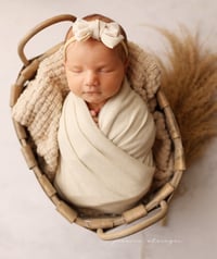 Image 4 of Newborn MINI SESSION (baby ONLY - or family ONLY ) 350$