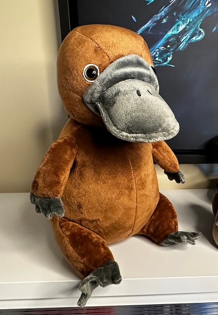 Image of To the Moon Platypus Plushie (New Batch - Shipping in 2 Weeks!)