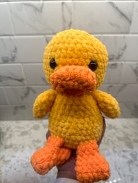Dewey The Duck 