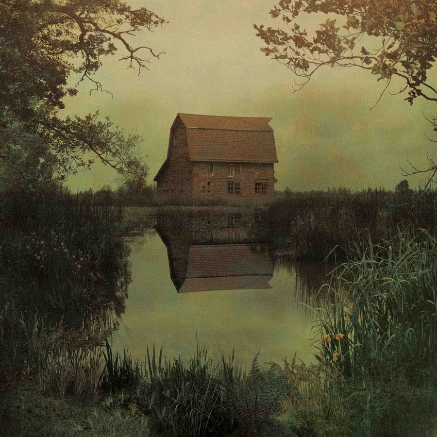 Image of House In The Swamps.