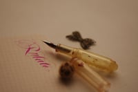 Image 4 of Flex fountain pen / dandelion & bee / demonstrator