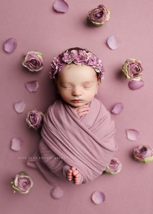 Image of Cozy Dusty Mauve / set