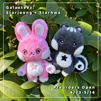 Image 1 of Galaxteez - Starjoong and Starhwa Plush