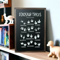 Dino Tracks