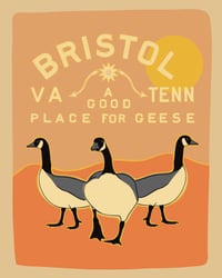 Bristol Geese