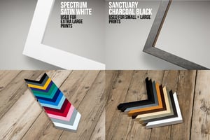 Image of The Lion Chambers - Glasgow Architectural Art