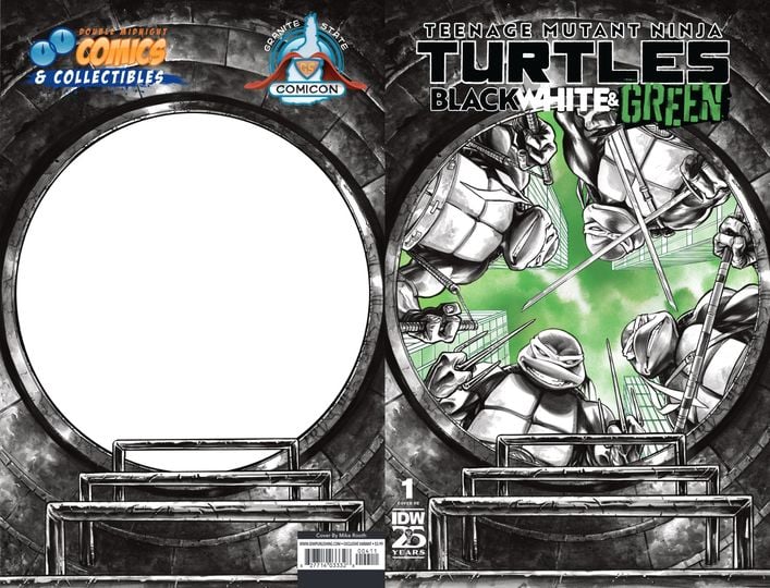 TEENAGE MUTANT NINJA TURTLES: Black, White & Green #1 ORIGINAL ART ...