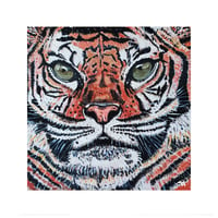 Tont the Tiger Greeting Card