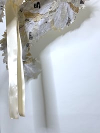 Image 7 of 🎀 ANGEL CAPSULE 🎀 UNIQUE PIECE GAZETTE ANGEL WINGS