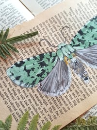 Image 3 of LIFE IN OLD PAGES INSECT N. 35 Pantheinae MOTH