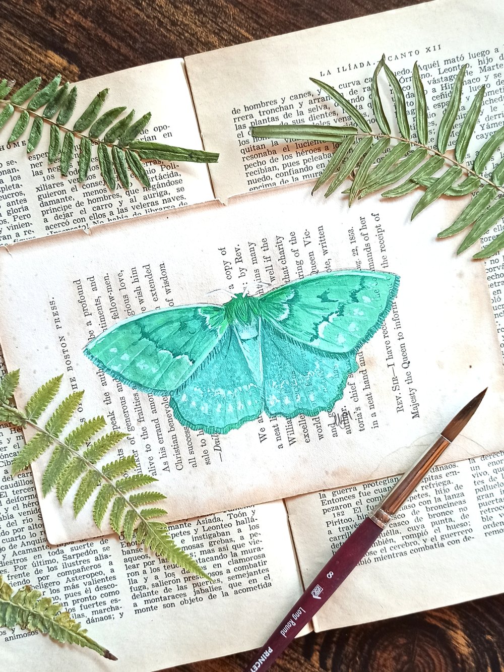 Image of LIFE IN OLD PAGES INSECT N. 36 Large emerald Moth