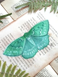 Image 2 of LIFE IN OLD PAGES INSECT N. 36 Large emerald Moth