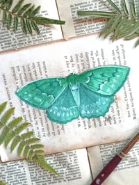 Image 3 of LIFE IN OLD PAGES INSECT N. 36 Large emerald Moth