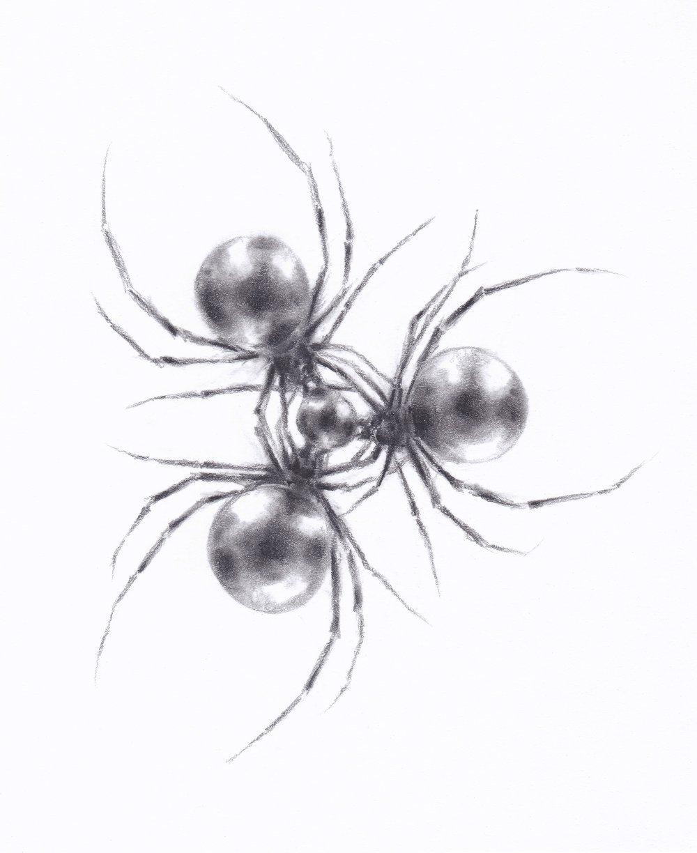 venatrix (5x7, 8x10 inches) fine art print Dusty Ray Paints