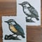 Image of Nuthatch Small Print