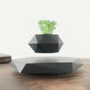 Levitating Air Bonsai Rotation Pot Planters Magnetic Suspension Flower Floating  Desk Decor 