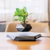 Levitating Air Bonsai Rotation Pot Planters Magnetic Suspension Flower Floating  Desk Decor 