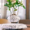 Levitating Air Bonsai Rotation Pot Planters Magnetic Suspension Flower Floating  Desk Decor 
