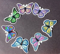 Image 3 of Pride Butterfly