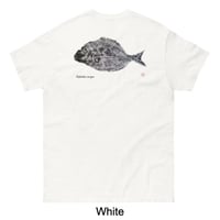 Image 1 of T-Shirt - Sargo Gyotaku