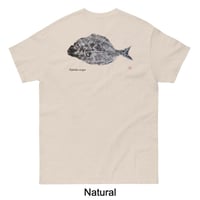 Image 3 of T-Shirt - Sargo Gyotaku