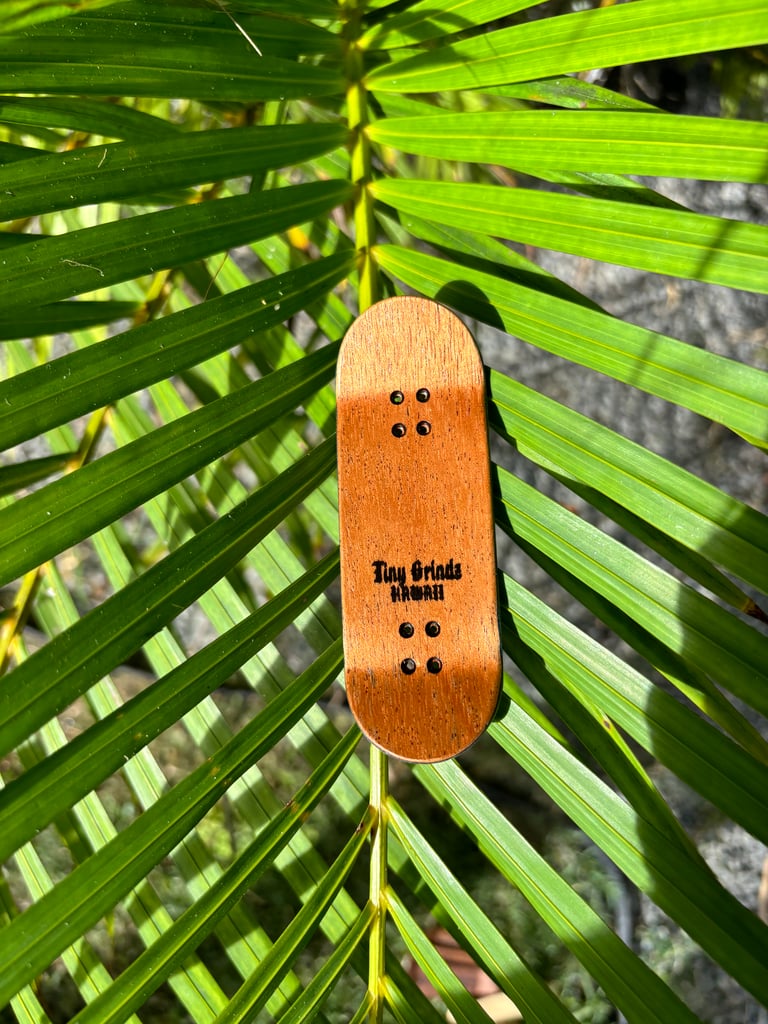 Tiny Grindz- Blue Lagoon Image 2