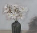 Image of Nature morte aux pâquerettes