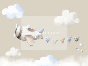 Image of Aeroplane & Banner Cake smash