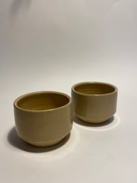 Cups Paloma