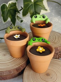 Image 1 of Froggy Flower Pots