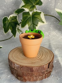 Image 3 of Froggy Flower Pots
