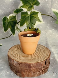 Image 4 of Froggy Flower Pots