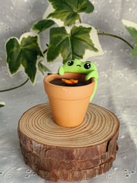 Image 2 of Froggy Flower Pots