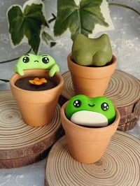 Image 1 of Frogs in Pots - Combo Sets