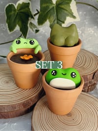 Image 4 of Frogs in Pots - Combo Sets