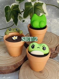 Image 3 of Frogs in Pots - Combo Sets