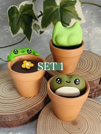 Image 2 of Frogs in Pots - Combo Sets