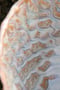 Image of Seaside – Cups