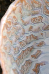 Image 4 of Seaside – Cups 